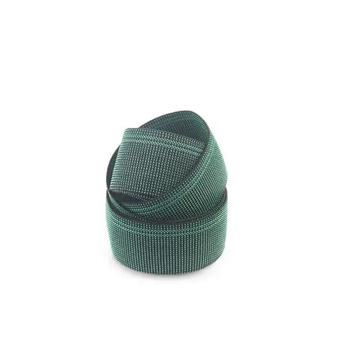 Elastic Webbing Belt 1