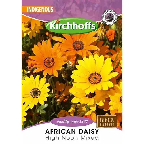 Flower Seed African Daisy Kirchhoffs 1