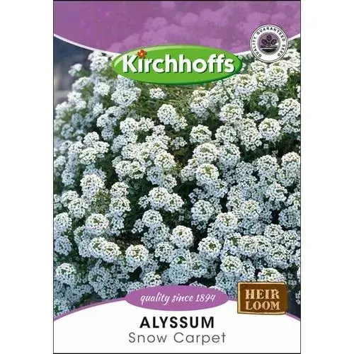 Flower Seed Alyssum Kirchhoffs 1
