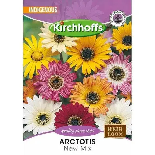 Flower Seed Arctotis Kirchhoffs 1
