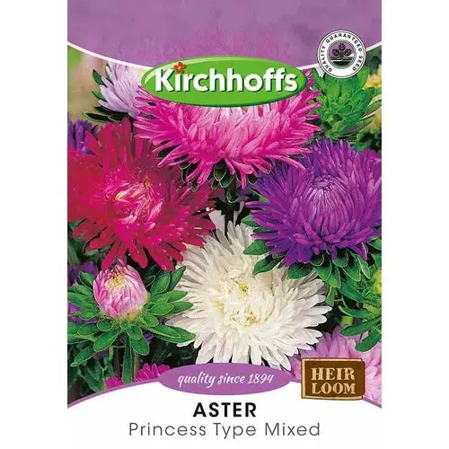 Flower Seed Aster Kirchhoffs 1
