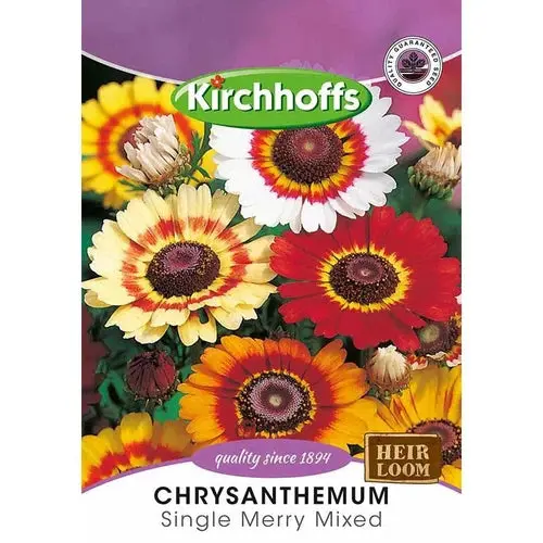 Flower Seed Chrysanthemum's Kirchhoffs 1