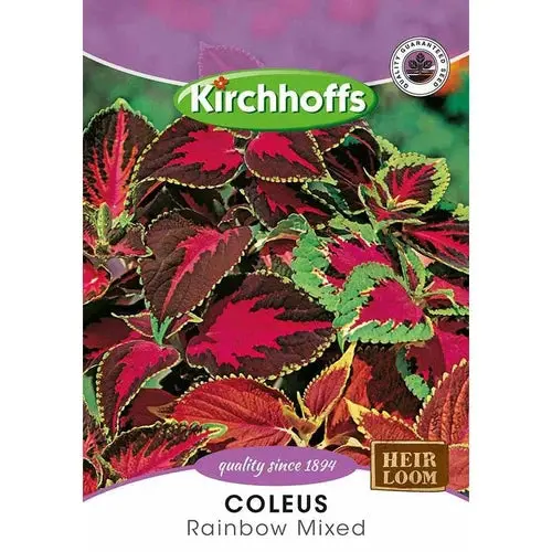 Flower Seed Coleus Kirchhoffs 1