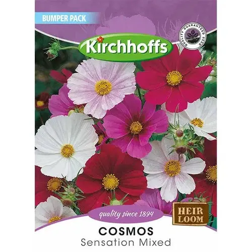 Flower Seed Cosmos Kirchhoffs 1