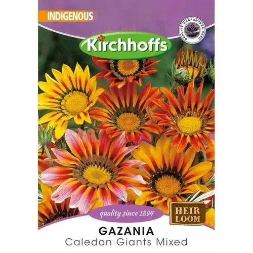 Flower Seed Gazania Kirchhoffs 1