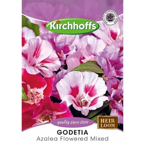 Flower Seed Godetia Kirchhoffs 1