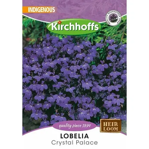 Flower Seed Lobelia Kirchhoffs 1