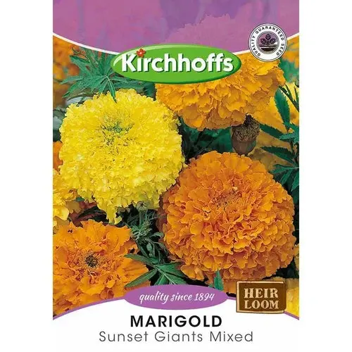 Flower Seed Marigold's Kirchhoffs 1