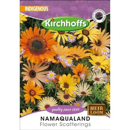Flower Seed Namaqualand Kirchhoffs 1
