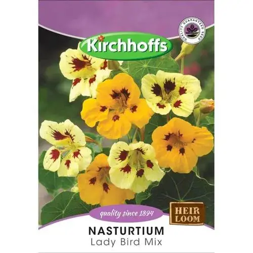 Flower Seed Nasturtium Kirchhoffs 1