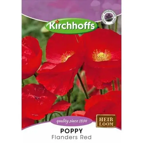 Flower Seed Poppy Kirchhoffs 2