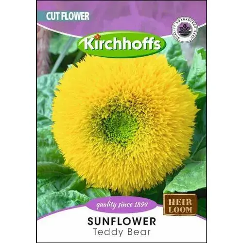 Flower Seed Sunflower Kirchhoffs 1