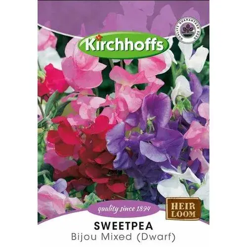 Flower Seed Sweetpea Kirchhoffs 2