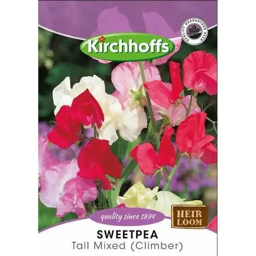 Flower Seed Sweetpea Kirchhoffs 2