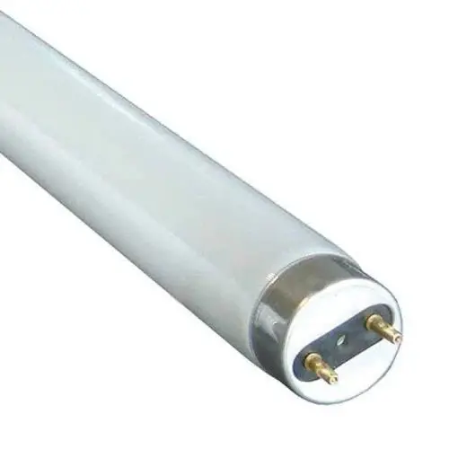 Globe Florescent Tube T8 1