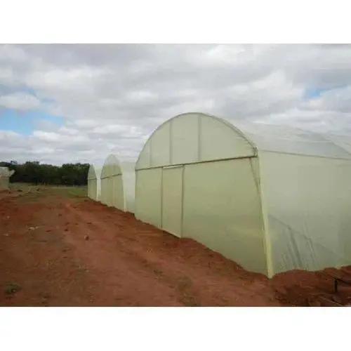 Greenhouse Sheeting 𝑇0.2𝑚𝑚 Evadek Gundle » 1