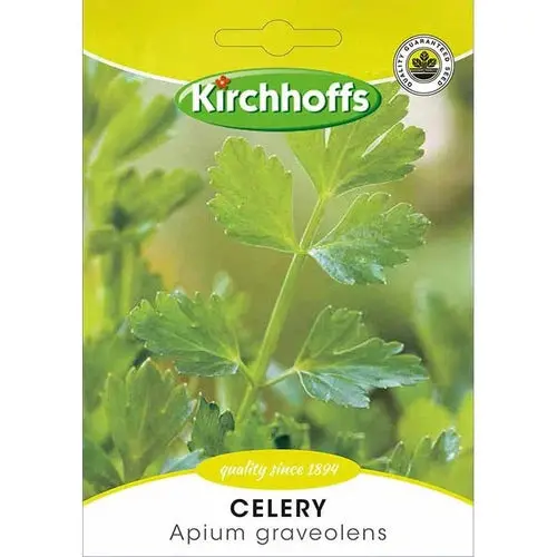 Herb Seed Celery Kirchhoffs 1