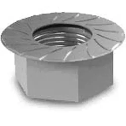 Hex Flange Nut Serrated Ss 2