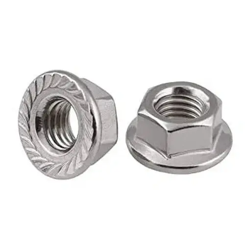 Hex Flange Nut Serrated Ss 1