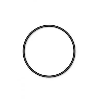 2" O-Ring - Waterway (P/N: 805-0229) 1