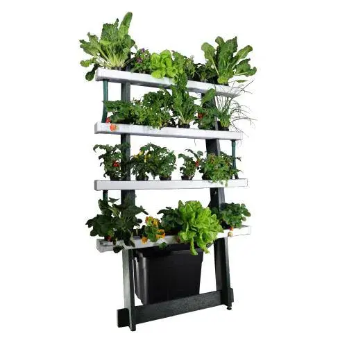 Hydroponic Growing System Kit Marley 2