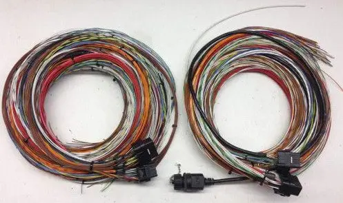 M150 Basic Harness - 10' Unterminated 1