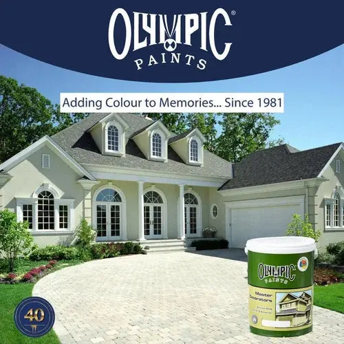 Paint Pva Master Decorators Olympic 3