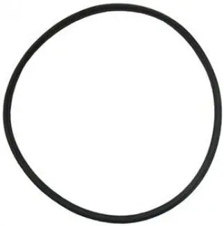 Eq Series Strainer Lid Gasket (P/N: 350166) Ships In 6 To 8 Weeks 1