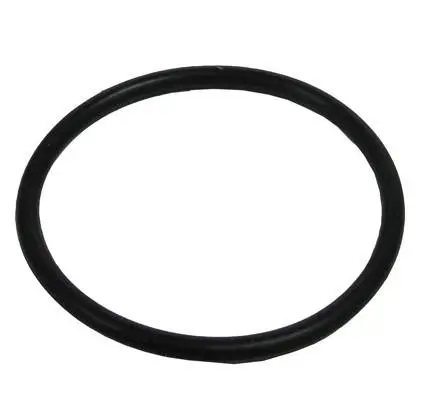 Fibrestars Lens O-Ring (P/N: A8891) 1