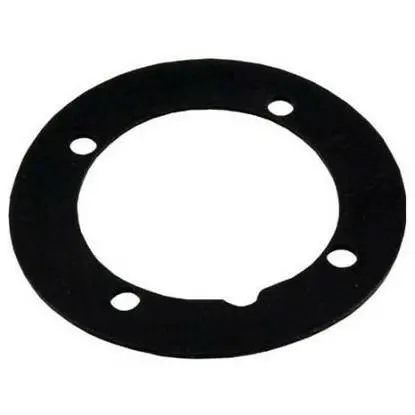 Hayward Return Faceplate Gasket (P/N: Spx1408c) 1
