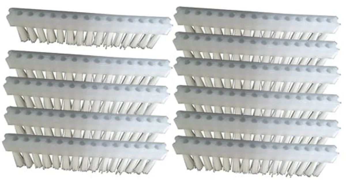 Pentair Brushes Replacement (P/N: R201540) 1