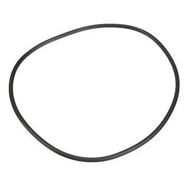 Pentair/Sta-Rite Seal Plate Replacement O-Ring For Maxeglass (P/N: U9-228A) 1
