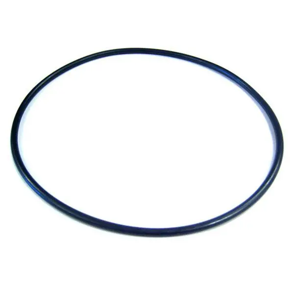 Pentair/Sta-Rite Trap Basket O-Ring Supermax (P/N: 357255Z) 1