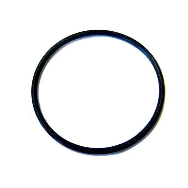 Zodiac/Jandy Lid O-Ring Replacement (P/N: R0480200) Ships In 2 Weeks 1