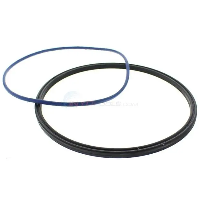 Zodiac/Jandy Lid Seal And Lid O-Ring Replacement (P/N: R0446200) Ships In 7 To 10 Days Approx 1