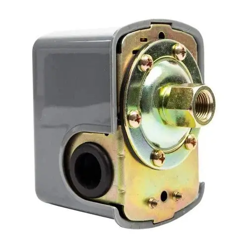 Pressure Switch For Pressure Pump Pascali 1
