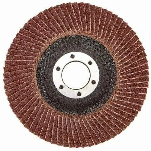 Sanding Flap Disc Standard 1