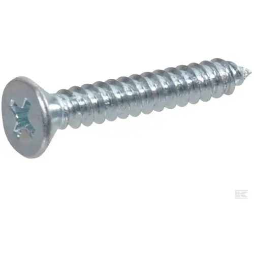 Self Tapping Screw Csk Head ๐/๐ram 1