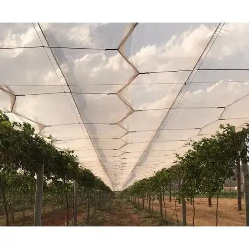 Shade Netting Agricultural Premuim 3