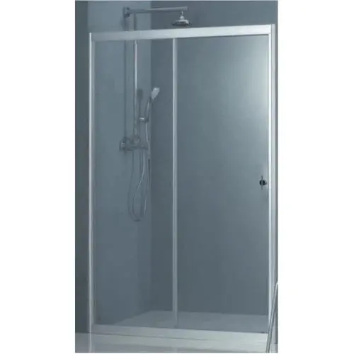 Shower Door Bi-Slider Infini.T 1