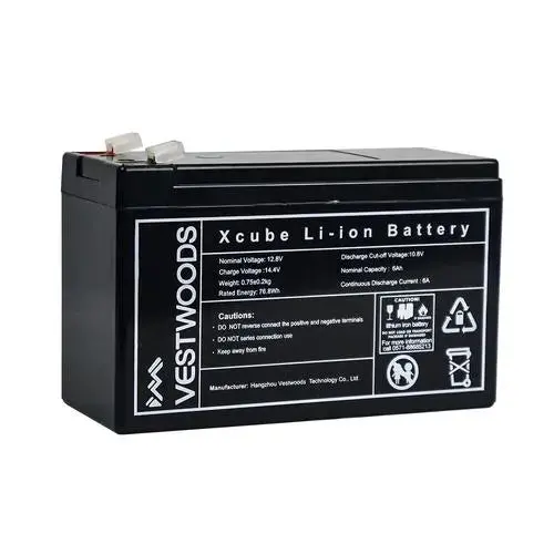 Sla Replacement Battery 12𝑉 Lfp 1