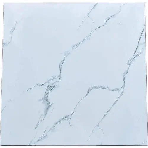 Tile 60X60cm Py61001 1