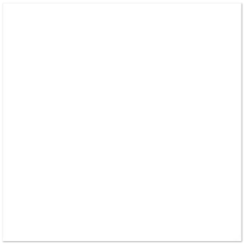 Tile 60X60cm Rg10004b Matt White 1