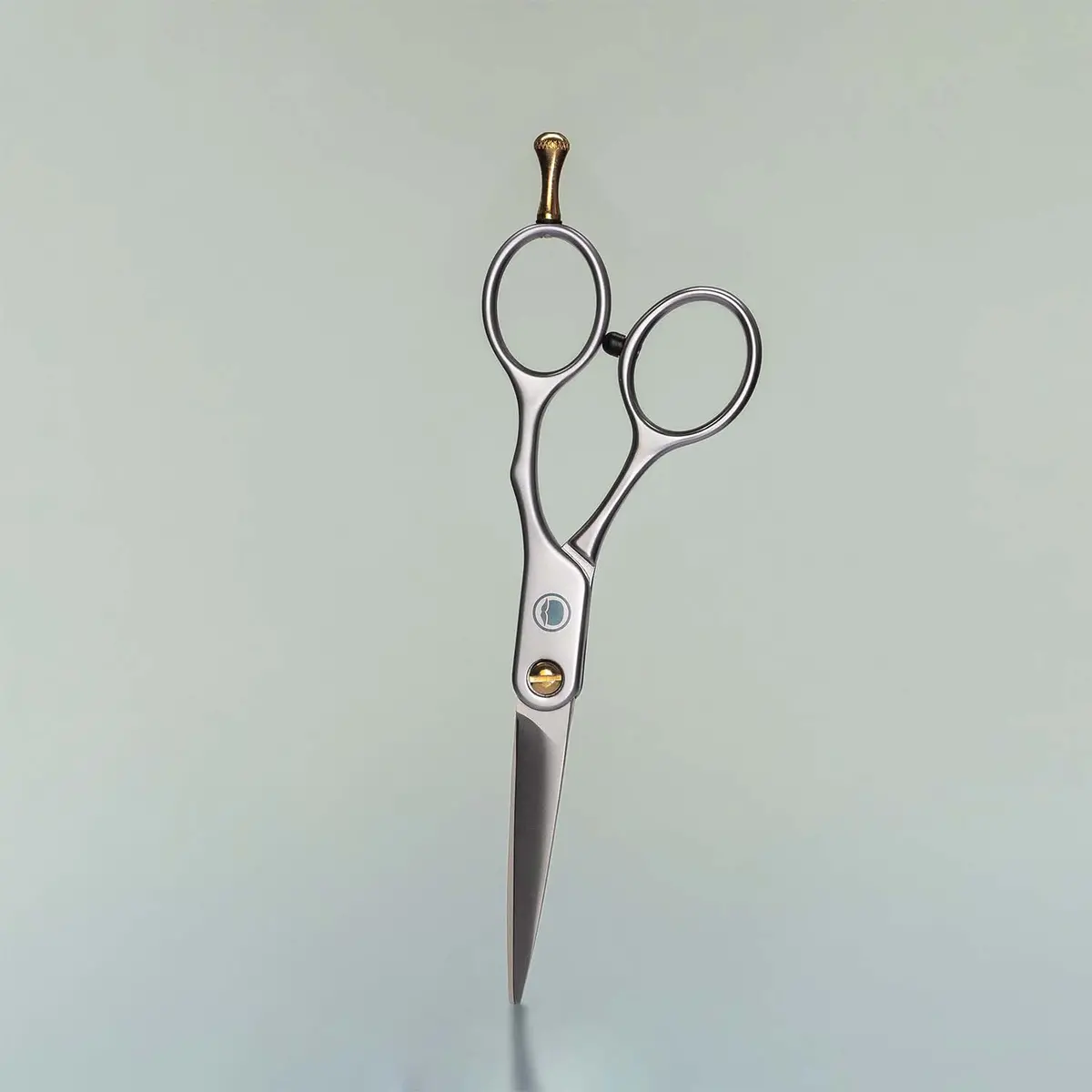 Beard Trimming Scissors 1