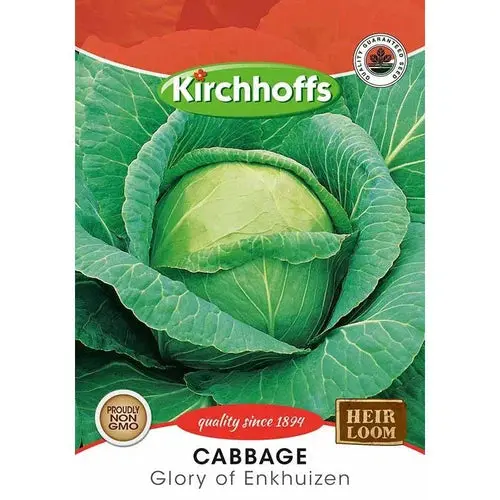 Vegetable Seed Cabbage's Kirchhoffs 1