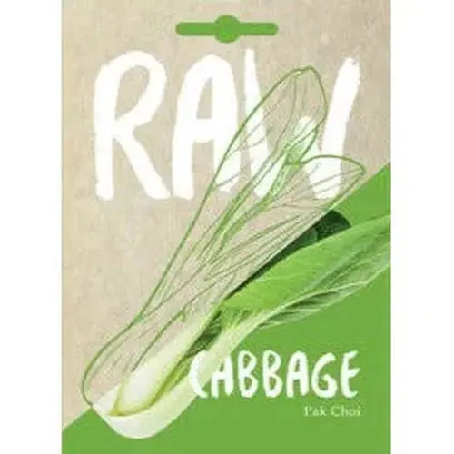 Vegetable Seed Cabbage's Raw 1