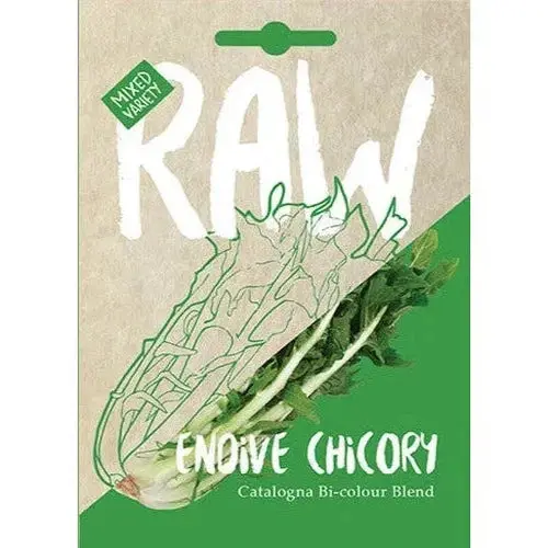 Vegetable Seed Chicory Raw 1