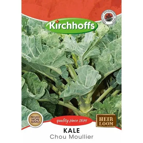 Vegetable Seed Kale Kirchhoffs 1