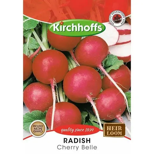 Vegetable Seed Radish Kirchhoffs 1