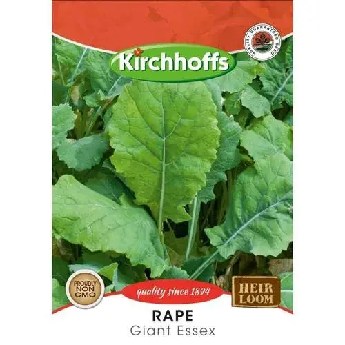 Vegetable Seed Rape Kirchhoffs 1
